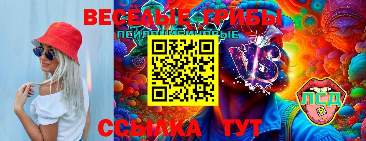Псилоцибиновые грибы мицелий  купить   Маркс  Вход с VPN 